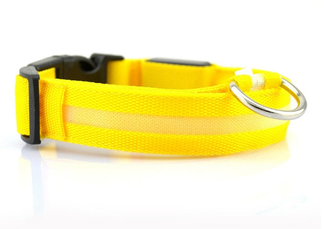 GlowPup LED Safety Dog Collar