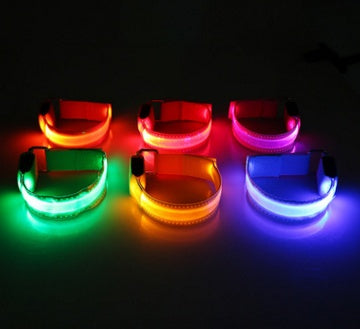 GlowPup LED Safety Dog Collar